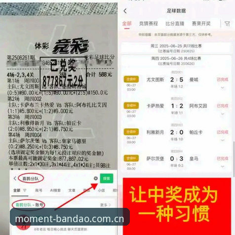 半岛体育功能安全吗 半岛体育功能安全深度评测:从赛事直播到数据加密的全面分析