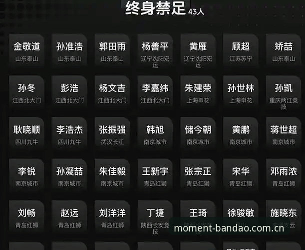 解读中国足球第三批禁足名单的实用指南——从半岛体育官网视角看行业整顿